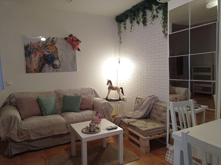 Precioso Loft En El Centro De Cordoba. Lägenhet Exteriör bild