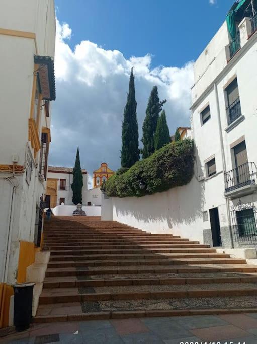Precioso Loft En El Centro De Cordoba. Lägenhet Exteriör bild
