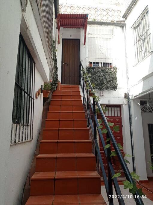 Precioso Loft En El Centro De Cordoba. Lägenhet Exteriör bild
